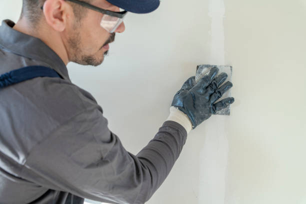 Best Commercial Mold Inspection  in Clawson, MI