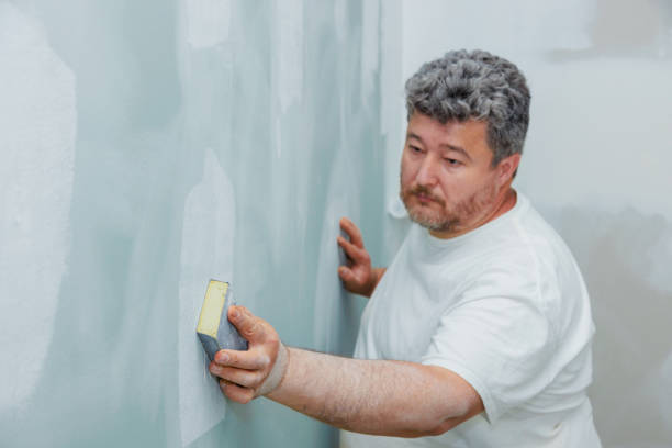 Best Forensic Mold Investigation  in Clawson, MI