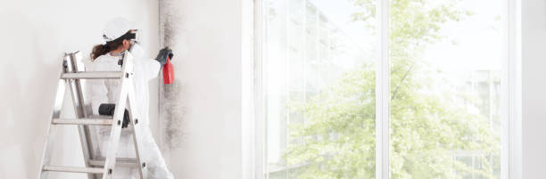 Mold Removal for HVAC Installations in Clawson, MI