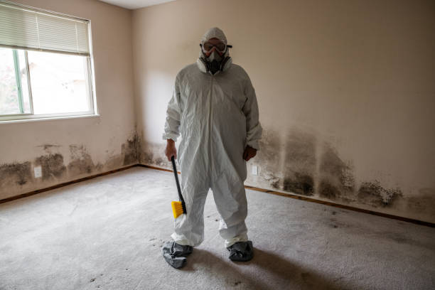 Best Biohazard Mold Removal  in Clawson, MI
